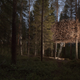 Illustration for article titled These Are The Most Amazing Tree Houses Ever